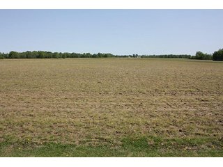 Property photo 5 - LAND AUCTION - 389.5+/- ACRES IN 11 TRACTS IN SULLIVAN COUNTY, INDIANA